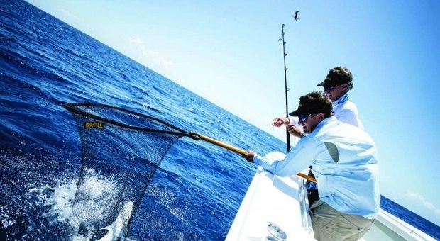 Photo courtesy of Frabill