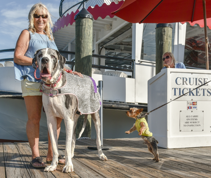 Dogs take over Harbor Queen on the Dog Days of Summer Cruise to benefit the Anne Arundel County SPCA. Photos by Sabrina Raymond. Dogs take over Harbor Queen on the Dog Days of Summer Cruise to benefit the Anne Arundel County SPCA. Photos by Sabrina Raymond.