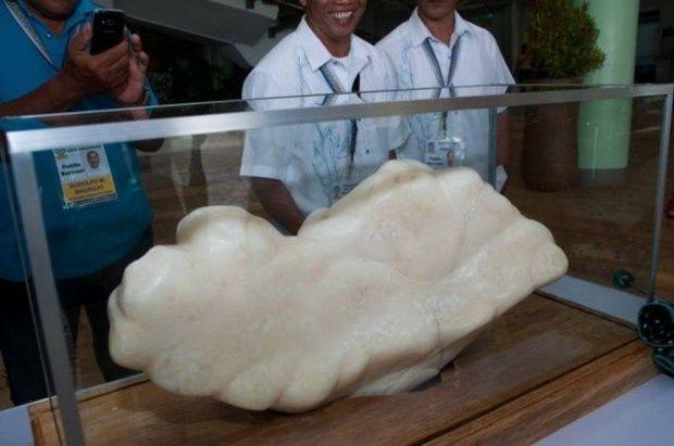 Photo courtesy of the City Government of Puerto Princesa