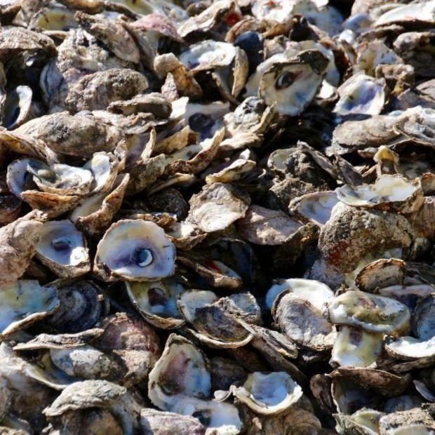 Photo courtesy U.S. Oyster Festival Photo courtesy U.S. Oyster Festival
