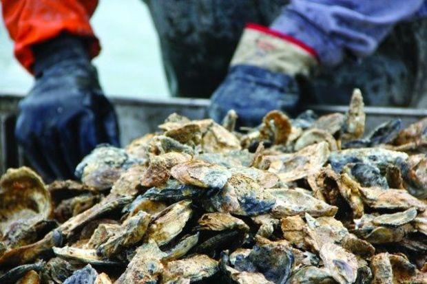 Photo courtesy Chesapeake Bay Program Photo courtesy Chesapeake Bay Program