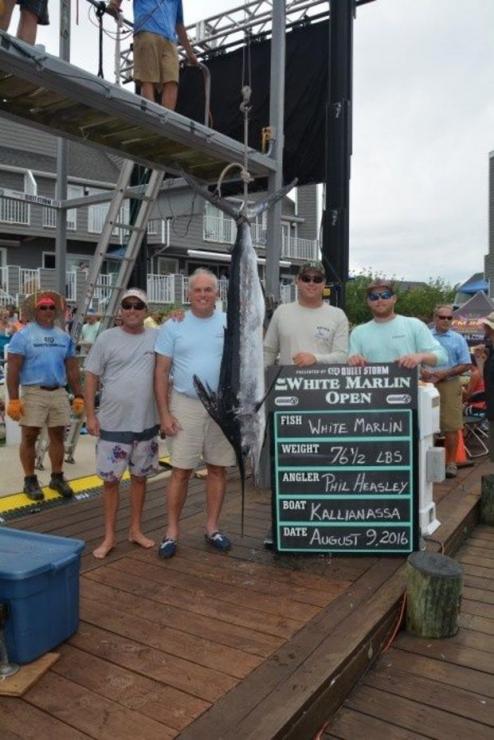 Phil Heasley with his winning white marlin. Photo courtesy of the White Marlin Open. Phil Heasley with his winning white marlin. Photo courtesy of the White Marlin Open.