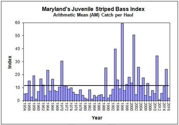 Graph courtesy MD DNR