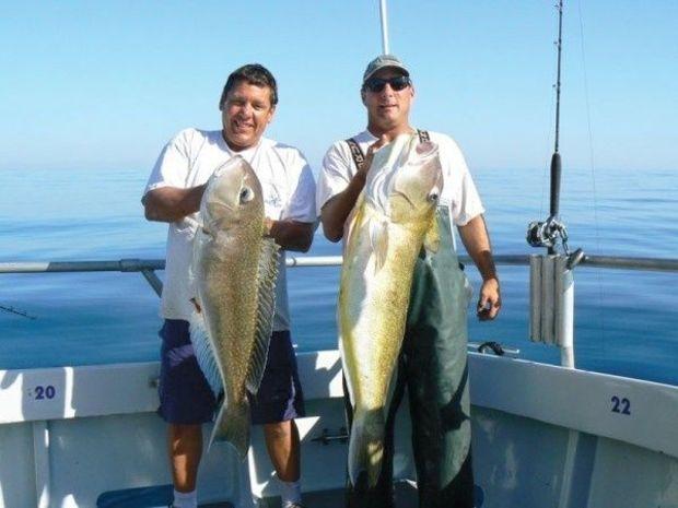 Capt. DJ Churchill and Capt. Monty Hawkins hold a pair of nice Golden Tilefish up on a fun trip. Capt. DJ Churchill and Capt. Monty Hawkins hold a pair of nice Golden Tilefish up on a fun trip.