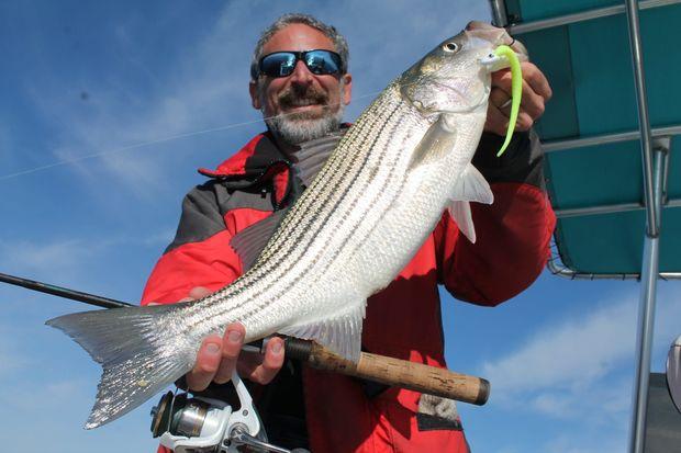 Lenny Rudow is ready to share his tips and tricks with you, all year long. Lenny Rudow is ready to share his tips and tricks with you, all year long.