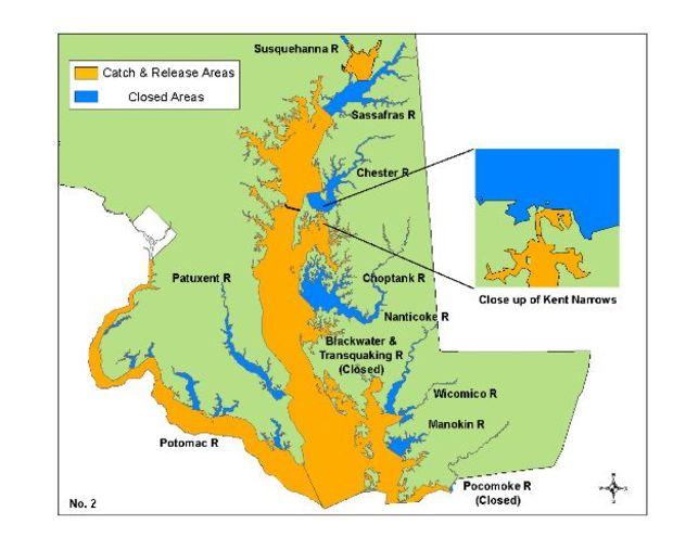 Striped Bass regulations for March 1 through third Friday in April. Courtesy MD DNR