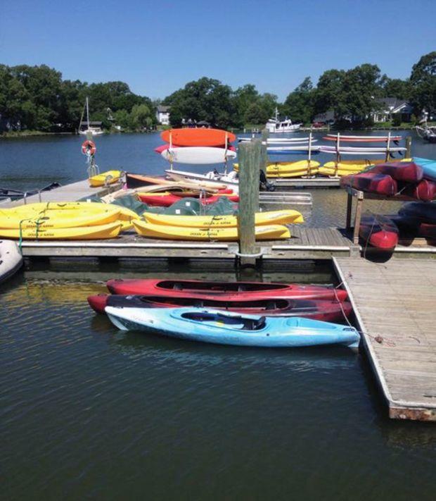 Explore Harness Creek by kayak or SUP out of Paddle and Pedal at Quiet Waters Park.