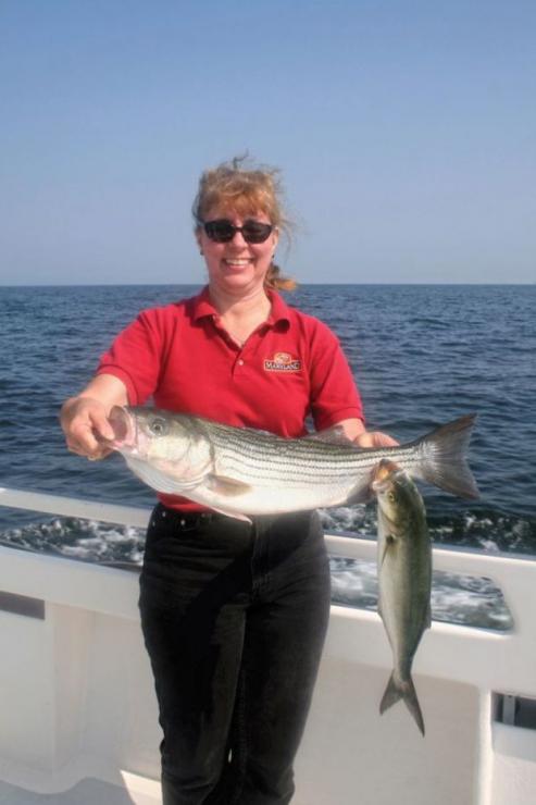Fish Spot Chesapeake Beach Proptalk Fish Spot Chesapeake Beach Proptalk