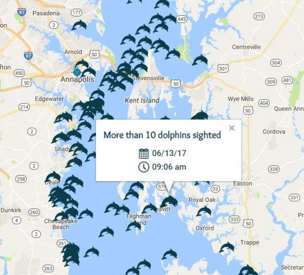 Users can view all of the reported dolphin sightings on the Bay and tap to report their own sightings. Users can view all of the reported dolphin sightings on the Bay and tap to report their own sightings.