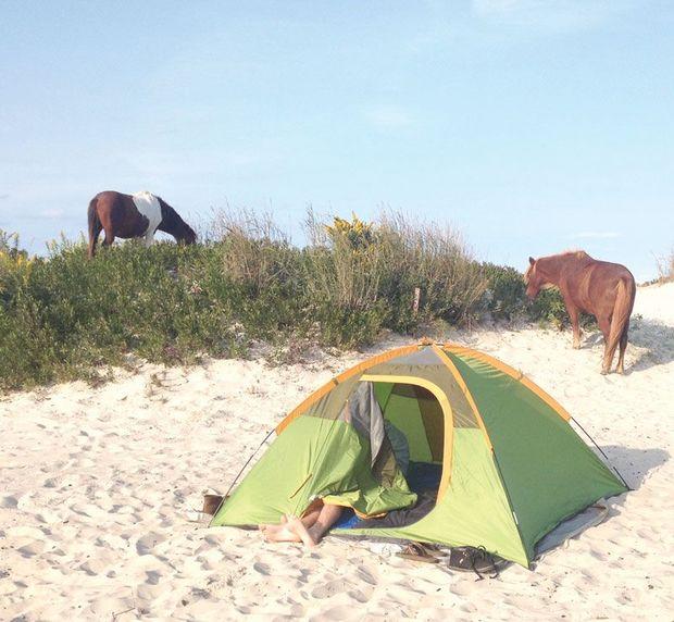 Head to Assateague Island State Park to camp or spend a day on the beach with the wild ponies.