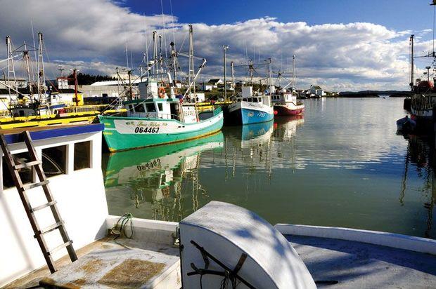 Newfoundland is picturesque and its culture captivating; however, its rock-bound coast is unforgiving. Its fishermen know this all too well. They keep their vessels’ critical systems in good working order knowing that a failure could spell disaster.