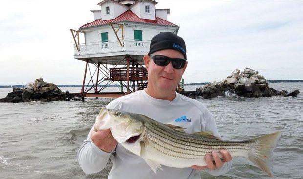 Mike Snyder caught this nice rockfish from around the rocks at Thomas Point Lighthouse.