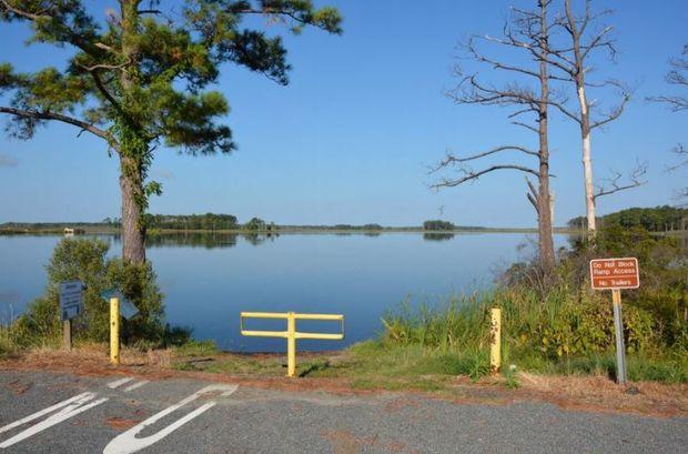Route 335 car top launch access site. Certain hunt sites are only accessible by boat. Photos courtesy Blackwater NWR Route 335 car top launch access site. Certain hunt sites are only accessible by boat. Photos courtesy Blackwater NWR