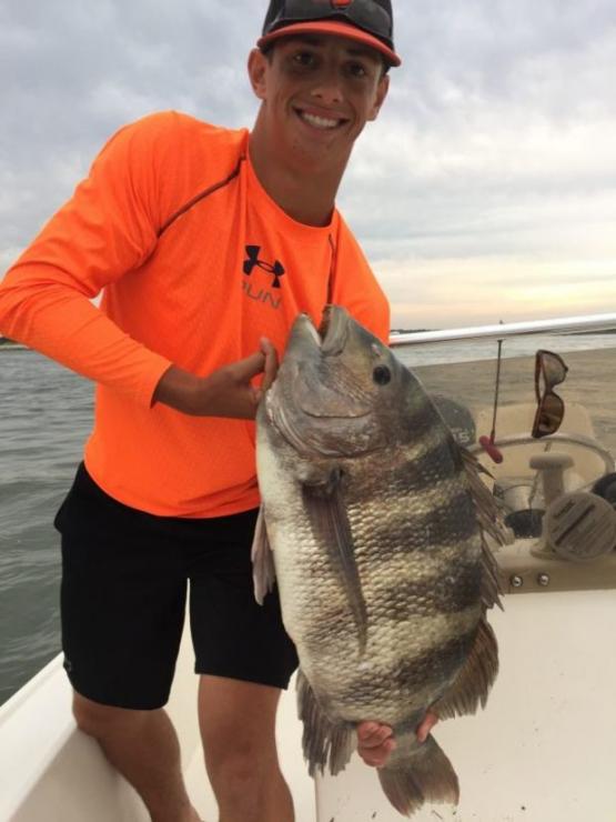 Robert Martin caught this 18-pound sheepshead September 23 off the coast of Ocean City. Photo courtesy MD DNR
