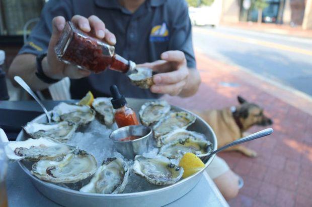 Photo by Lauren Donnelly, courtesy of the Oyster Recovery Partnership