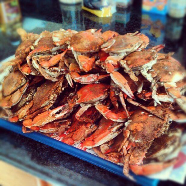 Maryland Zip Code