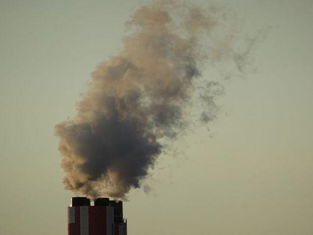 The 19 plants affecting Maryland and the Bay are in Pennsylvania, Ohio, Indiana, West Virginia and Kentucky. All are coal-fired. The 19 plants affecting Maryland and the Bay are in Pennsylvania, Ohio, Indiana, West Virginia and Kentucky. All are coal-fired.
