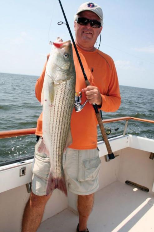 Ken Schultz jigged up this fine Chesapeake Bay rockfish close to the Bay Bridge. Photo by Eric Burnley Ken Schultz jigged up this fine Chesapeake Bay rockfish close to the Bay Bridge. Photo by Eric Burnley