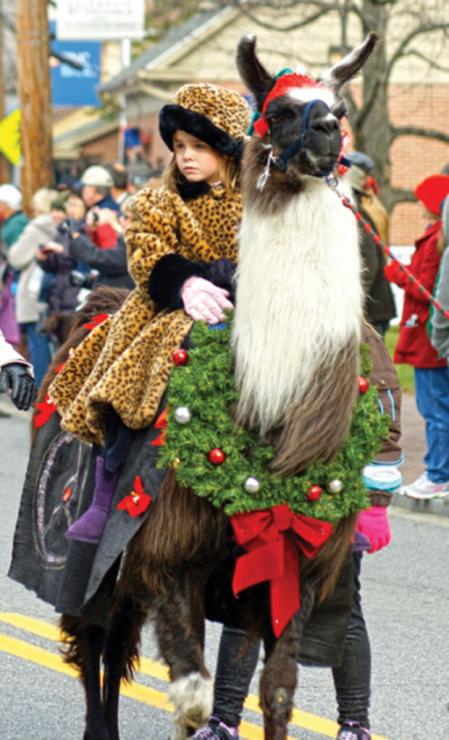 The St. Michaels Talbot Street Parade features marching bands, antique cars, horses, and even llamas! Phtoo courtesy Christmas in St. Michaels The St. Michaels Talbot Street Parade features marching bands, antique cars, horses, and even llamas! Phtoo courtesy Christmas in St. Michaels