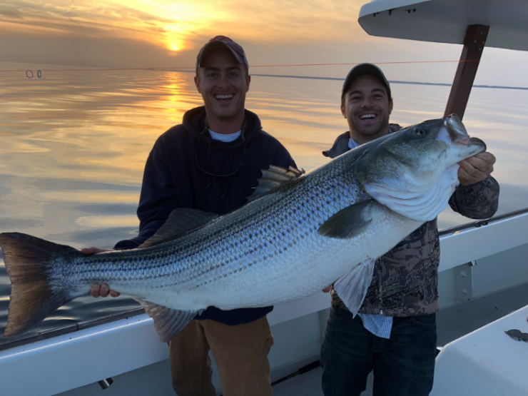 Photo courtesy MD DNR/Maryland Anglers Log