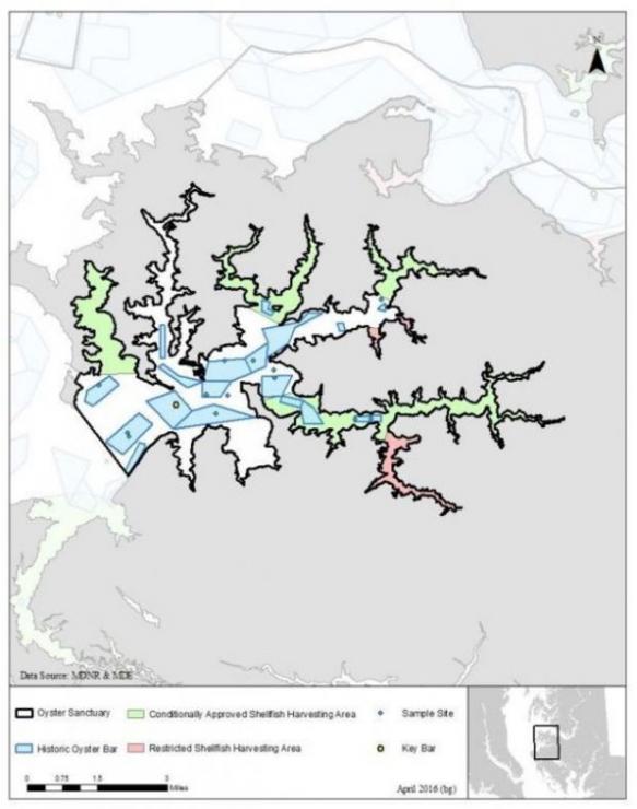 The Little Choptank River oyster sanctuary. Courtesy MD DNR The Little Choptank River oyster sanctuary. Courtesy MD DNR