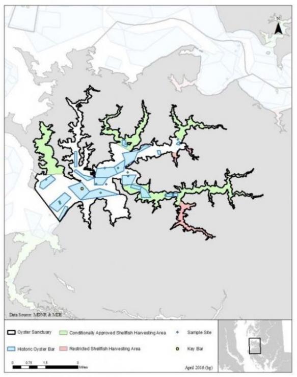 The Little Choptank River oyster sanctuary. Courtesy MD DNR