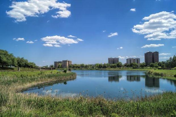 Two of the projects are in Druid Hill Park. Two of the projects are in Druid Hill Park.