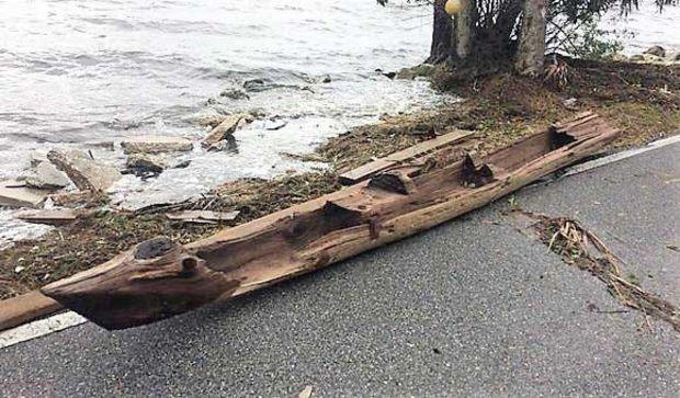 A dugout canoe, possibly as old as the 1600s dug out of the bottom of a lagoon by Hurricane Irma near Cocoa FL. Photo by Randy Lathrop