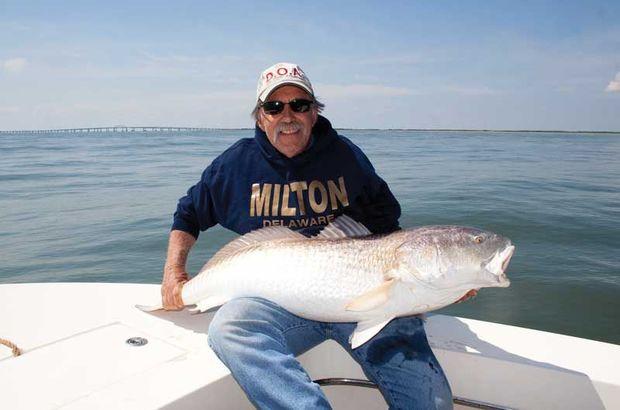Mike Pizzolato with a fine Virginia Beach red drum caught on a live blue crab off of Fisherman's Island.