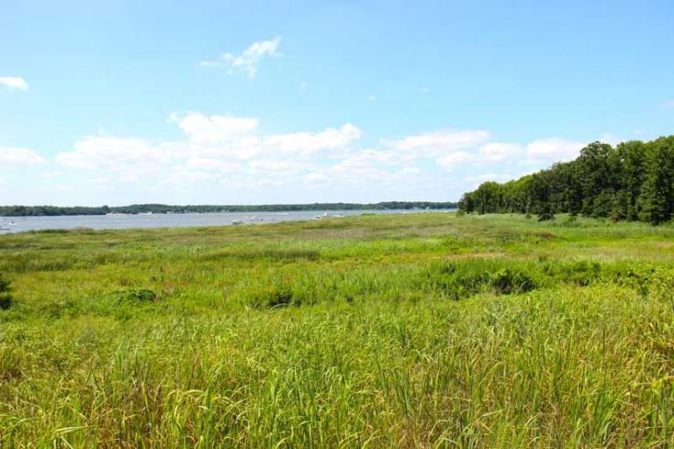 Since 2009, the environmental financing program has directed $400 million to local governments and nonprofits for more than 2200 nonpoint source pollution projects. Since 2009, the environmental financing program has directed $400 million to local governments and nonprofits for more than 2200 nonpoint source pollution projects.