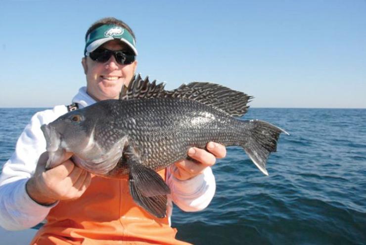 Head boats out of Ocean City often collect big sea bass. Head boats out of Ocean City often collect big sea bass.