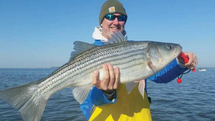 Maryland's spring trophy season begins April 21. Pictured is Chris Dorman with a nice rockfish. Photo courtesy Captain Jeff Popp, Vista Lady Charters