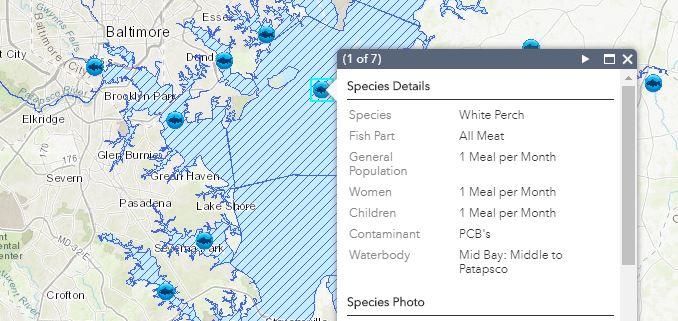 The clickable map allows anglers to see what advisories are in effect in specific waterways. Courtesy MDE