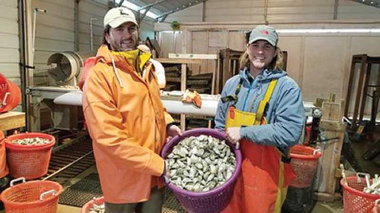 Phil Valliant and Tom Perry in the White Stone Oyster Company sorting shed. Courtesy White Stone Oyster Company