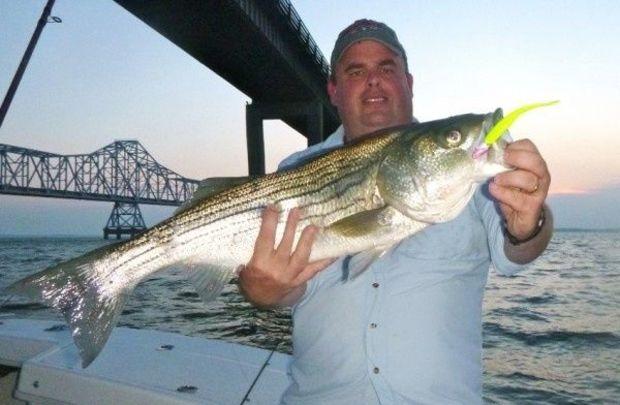 Fishing the pilings at the Bay Bridge is a good bet this weekend---as long as you time the tide right. Photo by Shawn Kimbro Fishing the pilings at the Bay Bridge is a good bet this weekend---as long as you time the tide right. Photo by Shawn Kimbro