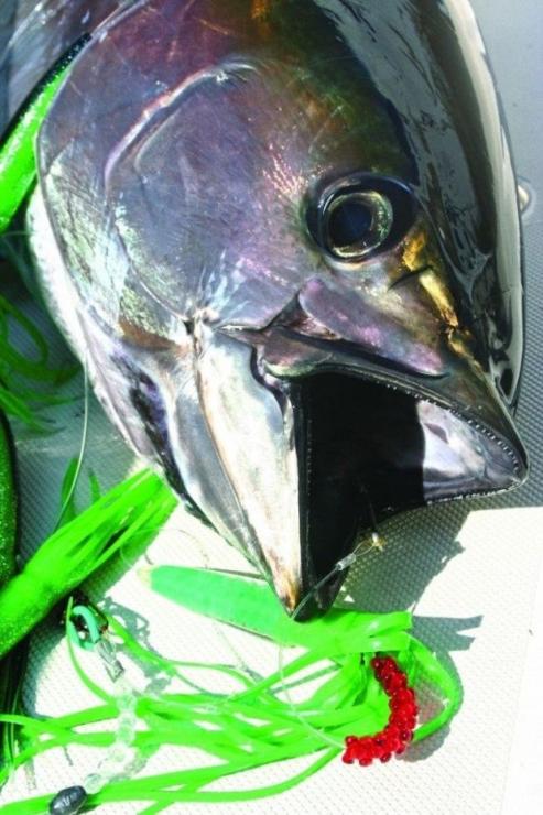 Big Game Saltwater LEEMY LURES 'KARMA' orange 8'' Mahi Mahi Tuna Wahoo Marlin 