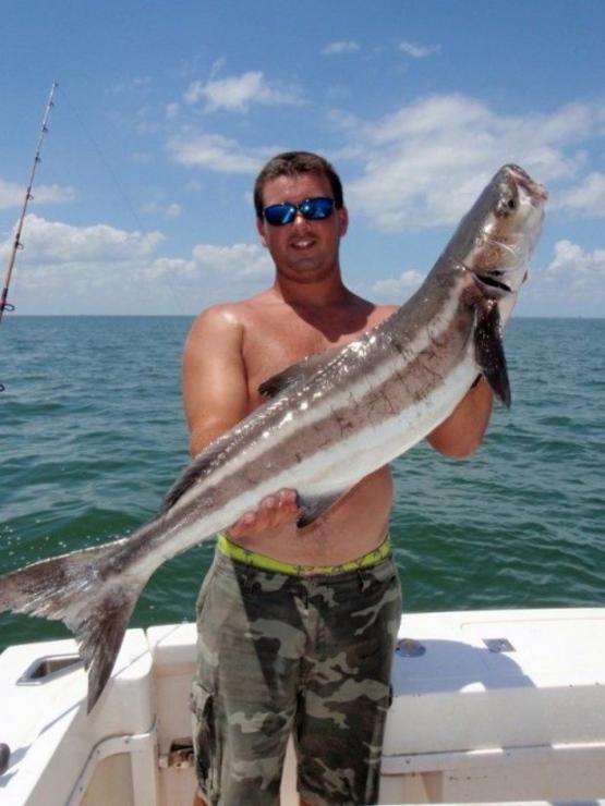 It's cobia time on the Lower Bay. Photo courtesy of Ken Neill