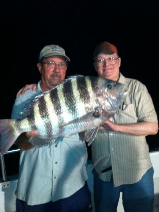 Hello, Mr. Blurry Cam. Even though Mr. Blurry Cam got the best of this photo, there's no doubt that's a big sheepshead. The 12-pound bruiser was caught in Pocomoke Sound by Tom Kramer of Baltimore, MD, while fishing with skipper Curtis Johns. Photo courtesy of Tracey Leonard