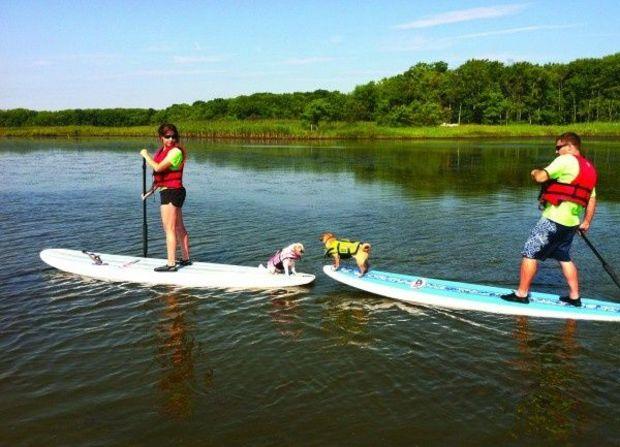 A SUP dog tour on Dundee Creek. Photo by Ultimate Watersports