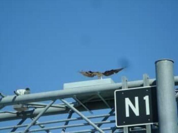 Photo courtesy of the MDTA's Twitter feed Photo courtesy of the MDTA's Twitter feed
