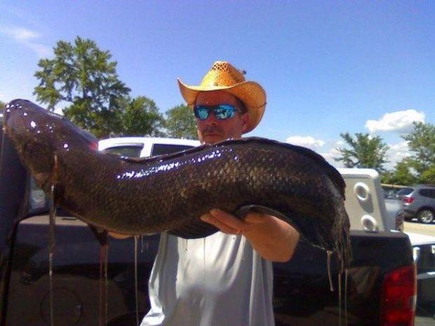 James Berry and the first snakehead to break the state record on June 1, 2014.