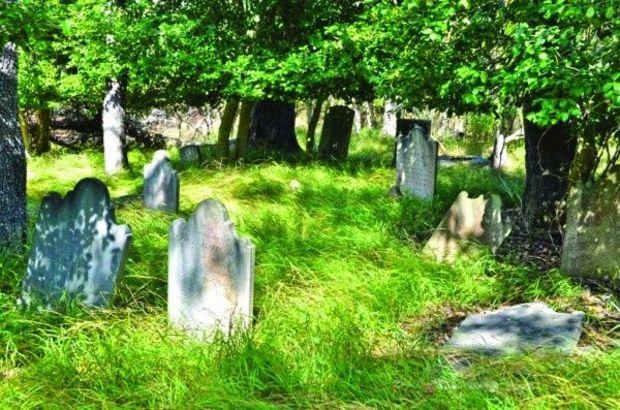 Remote cemetery on World's End Creek. Photo by Michaela Urban