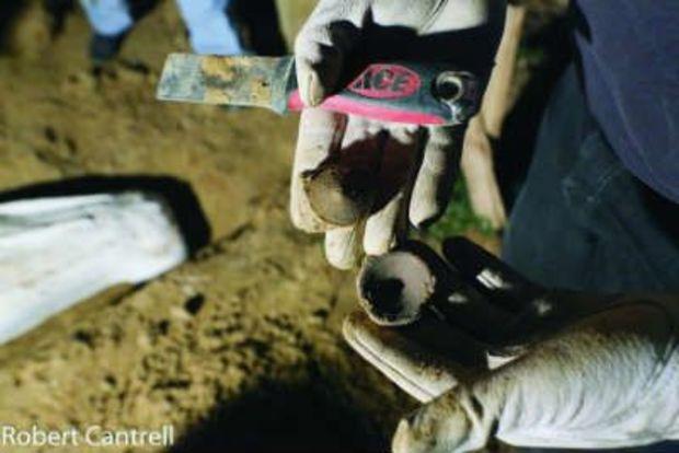 A final shark vertebra unearthed on Halloween night. Photo by Robert Cantrell