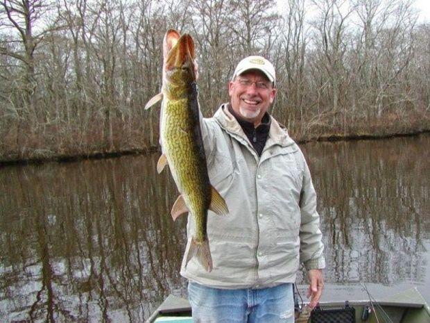 PropTalk contributor Captain Walt shows off a fine fall pickerel he caught on the Pocomoke River.