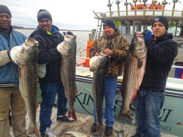 These fishermen didn't let cold weather keep them from catching big rock. The foursome was fishing with PropTalk contributor Capt. Harry Nield out od Deal Island, MD. Photo courtesy of Kingfish II Charters.
