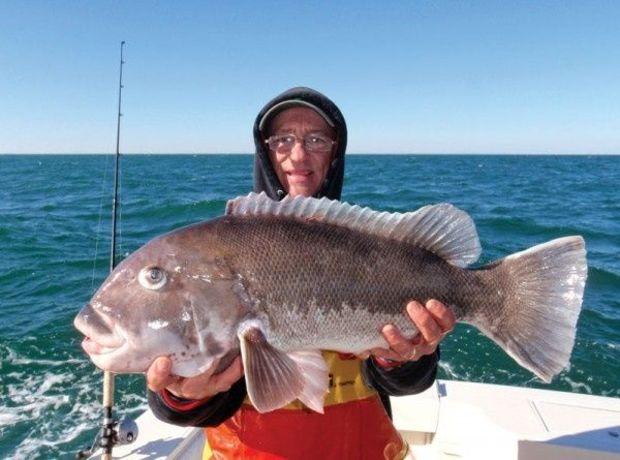 Wes Blow snagged this 10 lb. 8 oz. Tautog fishing offshore wrecks using clams, shrimp and frozen crab. Photo courtesy of Dr. Ken Neill.