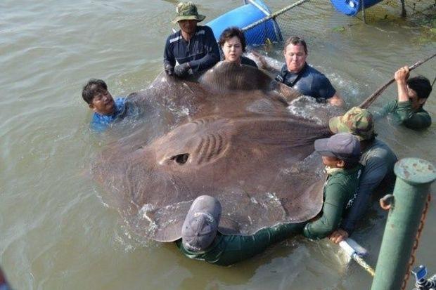 Photo via Jeff Corwin's Facebook page Photo via Jeff Corwin's Facebook page