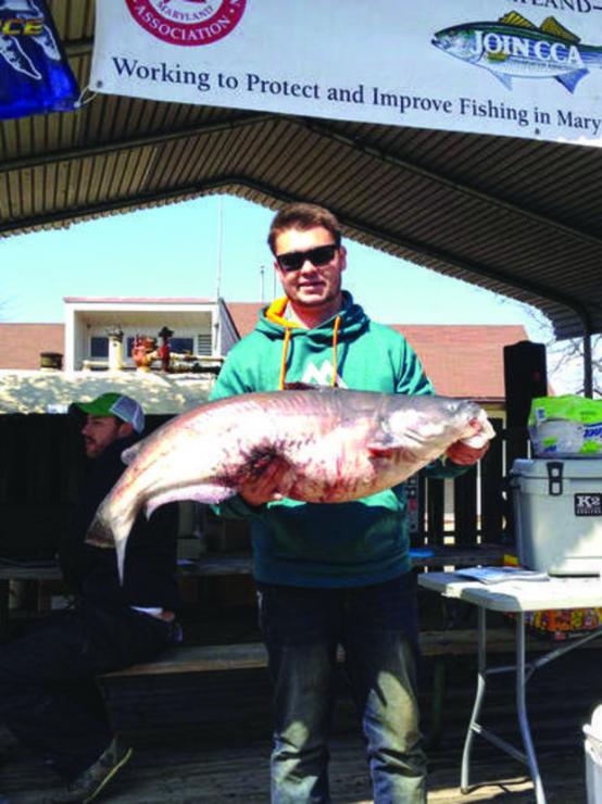 Dale Coon of Mechanicsville landed a 31.16-pound catfish to win his first ever fishing tournament. Photo courtesy of CCAMD