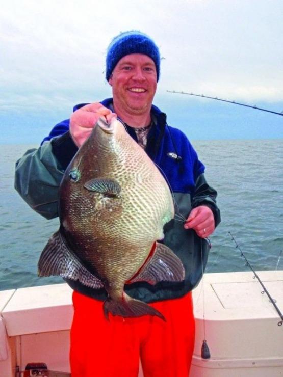 Dr. Hamish Small caught the largest gray triggerfish in Virginia in 2014. (Photo courtesy of Ken Neill III, Healthy Grin)