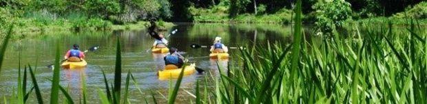 Several public paddle themes to choose from! Photo courtesy of Sultana Education Foundation